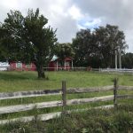 Terreno de 303,64 Hectáreas en Venta | Quichitué, Ancud – Chiloé