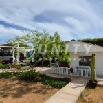 🌿 PARCELA EN VENTA ENTRE GUANAQUEROS Y TONGOY 27 🌿 PARCELA EN VENTA ENTRE GUANAQUEROS Y TONGOY