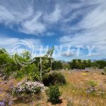 🌿 PARCELA EN VENTA ENTRE GUANAQUEROS Y TONGOY 68 🌿 PARCELA EN VENTA ENTRE GUANAQUEROS Y TONGOY