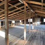 Terreno de 303,64 Hectáreas en Venta | Quichitué, Ancud – Chiloé
