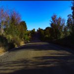 Terreno de 303,64 Hectáreas en Venta | Quichitué, Ancud – Chiloé