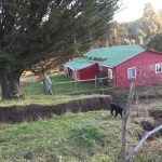 Terreno de 303,64 Hectáreas en Venta | Quichitué, Ancud – Chiloé