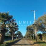 PARCELA CON CASA EN VENTA | PAN DE AZÚCAR, COQUIMBO.