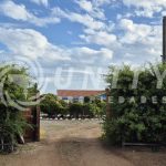 PARCELA CON CASA EN VENTA | PAN DE AZÚCAR, COQUIMBO.