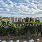 PARCELA CON CASA EN VENTA | PAN DE AZÚCAR, COQUIMBO.