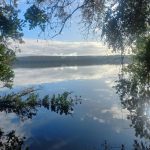 🏡 ¡PARCELA CON CABAÑA A ORILLAS DEL LAGO TARAHUÍN, CHILOÉ!