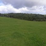 Terreno de 303,64 Hectáreas en Venta | Quichitué, Ancud – Chiloé