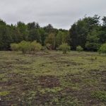 ✨ Parcela de 5.950 m² en Parque Tarahuín, Chonchi