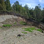PARCELAS EN CHILOÉ CON CRÉDITO DIRECTO | PIE DESDE $5.000.000 🏡