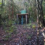 🏡 ¡PARCELA CON CABAÑA A ORILLAS DEL LAGO TARAHUÍN, CHILOÉ!