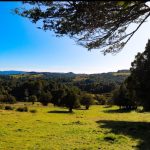 Terreno de 303,64 Hectáreas en Venta | Quichitué, Ancud – Chiloé