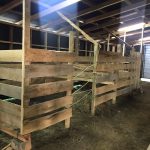 Terreno de 303,64 Hectáreas en Venta | Quichitué, Ancud – Chiloé