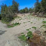 PARCELAS EN CHILOÉ CON CRÉDITO DIRECTO | PIE DESDE $5.000.000 🏡
