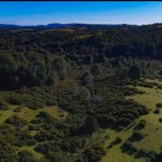 Terreno de 303,64 Hectáreas en Venta | Quichitué, Ancud – Chiloé