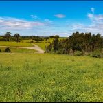 Terreno de 303,64 Hectáreas en Venta | Quichitué, Ancud – Chiloé