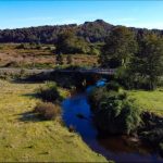 Terreno de 303,64 Hectáreas en Venta | Quichitué, Ancud – Chiloé